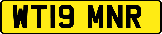 WT19MNR