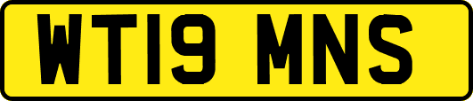 WT19MNS