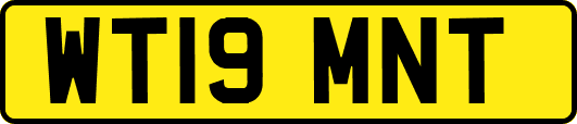 WT19MNT