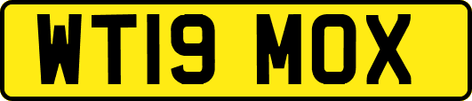 WT19MOX