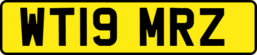 WT19MRZ