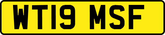 WT19MSF