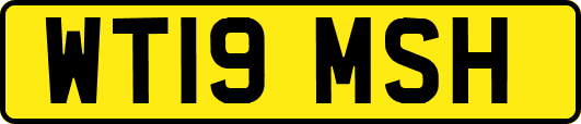 WT19MSH
