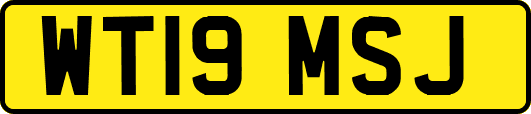 WT19MSJ