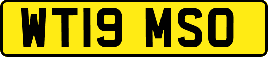 WT19MSO