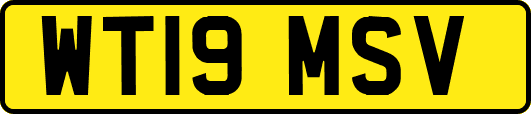 WT19MSV