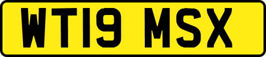 WT19MSX