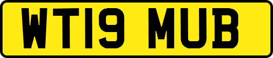 WT19MUB
