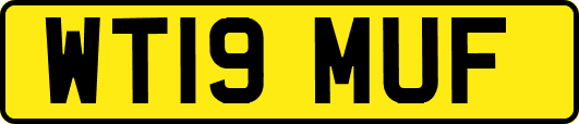 WT19MUF