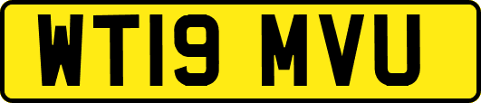 WT19MVU
