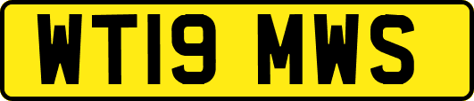 WT19MWS