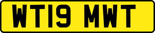 WT19MWT