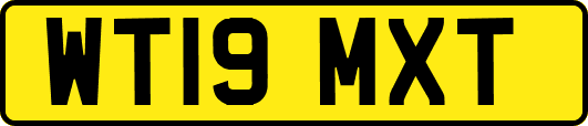 WT19MXT