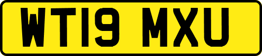 WT19MXU