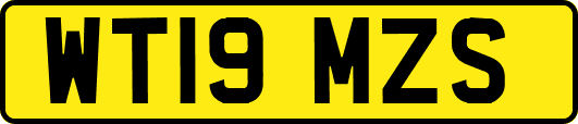 WT19MZS