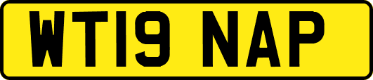 WT19NAP