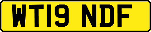 WT19NDF