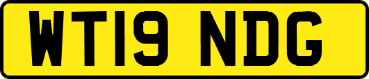WT19NDG