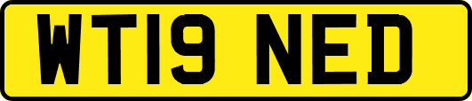 WT19NED