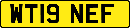 WT19NEF