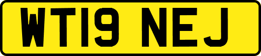 WT19NEJ