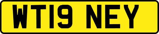 WT19NEY