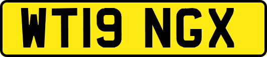 WT19NGX