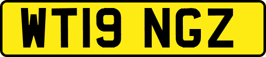 WT19NGZ