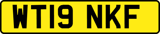 WT19NKF