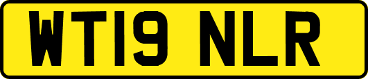 WT19NLR