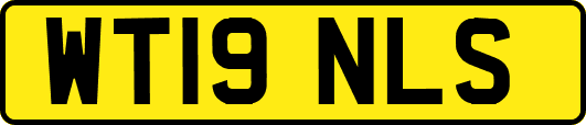 WT19NLS