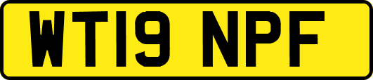 WT19NPF