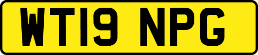 WT19NPG