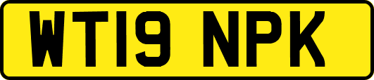 WT19NPK