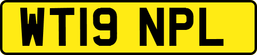 WT19NPL