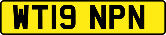 WT19NPN