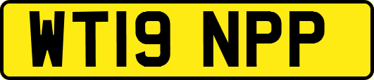 WT19NPP