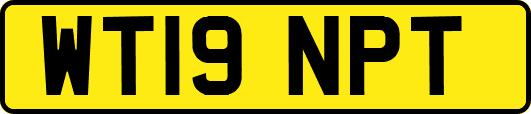 WT19NPT
