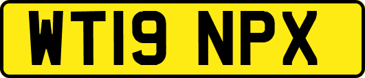 WT19NPX