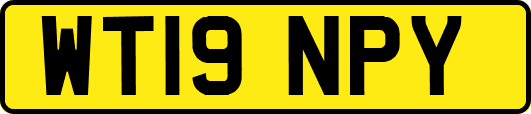 WT19NPY