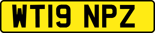 WT19NPZ
