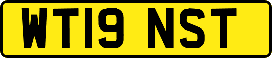 WT19NST