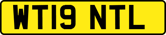 WT19NTL