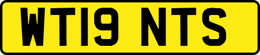 WT19NTS
