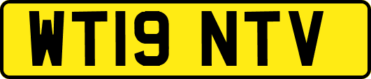 WT19NTV