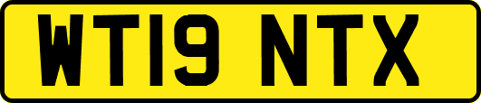 WT19NTX