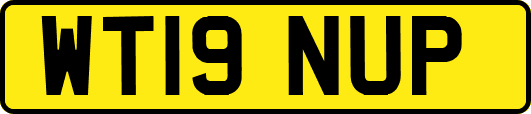 WT19NUP