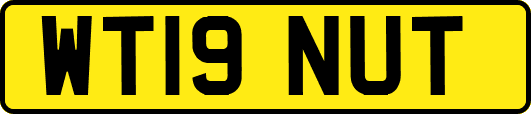 WT19NUT
