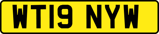 WT19NYW