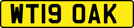 WT19OAK